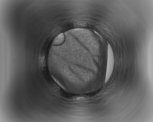 X0000093470224200711091614