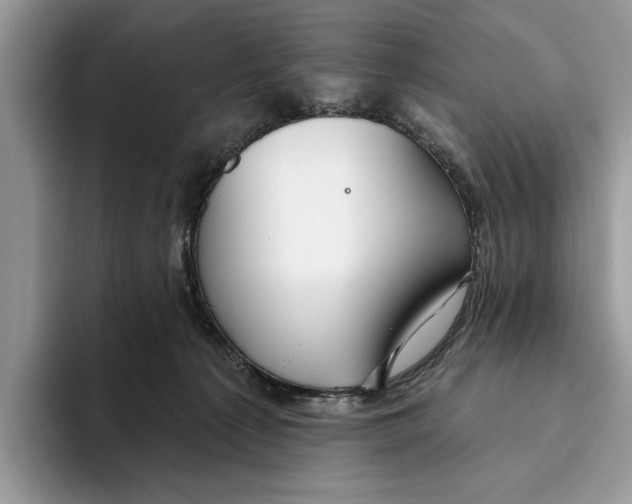 X0000093470225200711091614