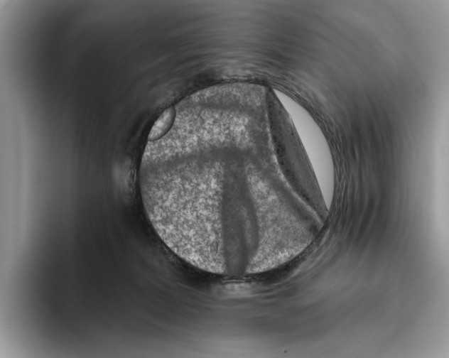 X0000093470228200711091614