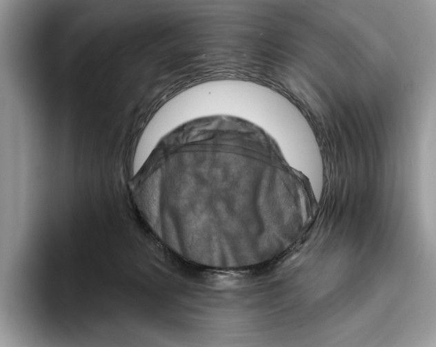 X0000093470229200711091614