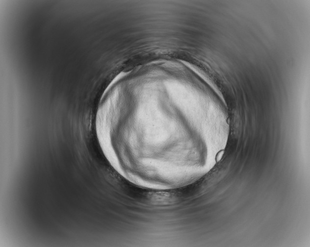X0000093470230200711091614