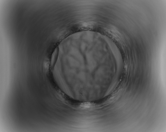 X0000093470231200711091614