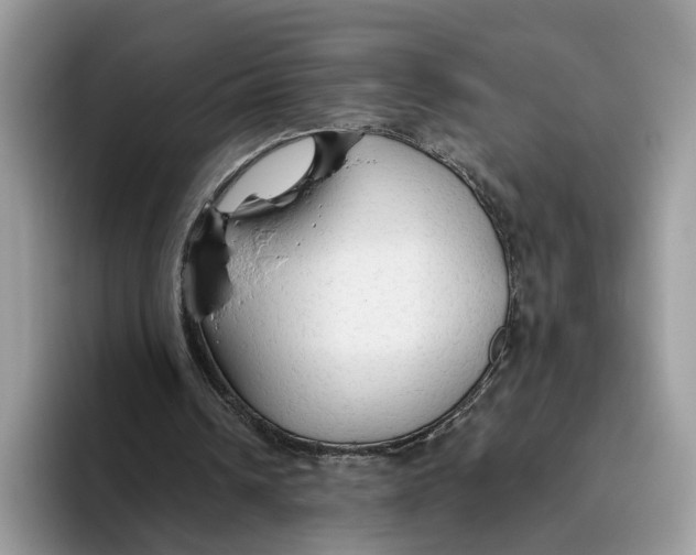 X0000093470242200711091613