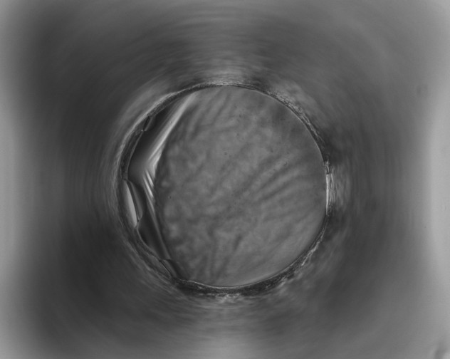 X0000093470243200711091613