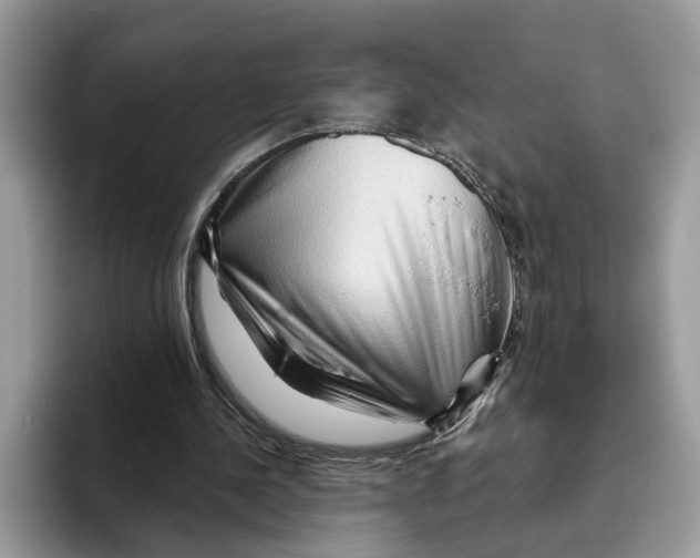 X0000093470244200711091613