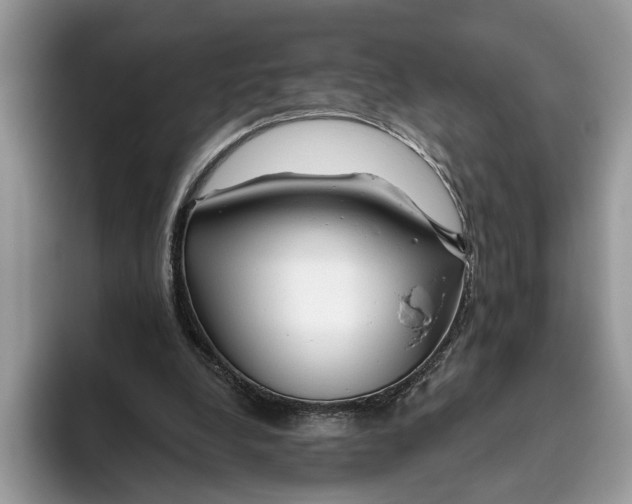 X0000093470248200711091613