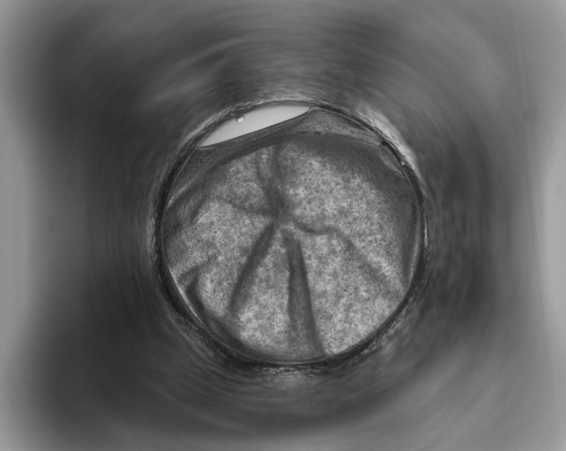 X0000093470249200711091613