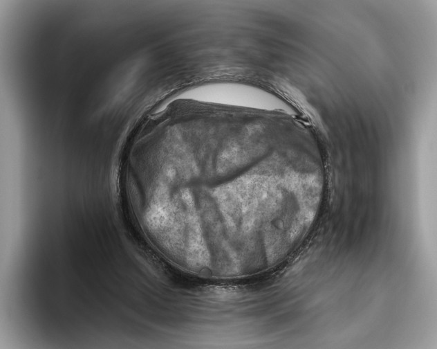 X0000093470250200711091613