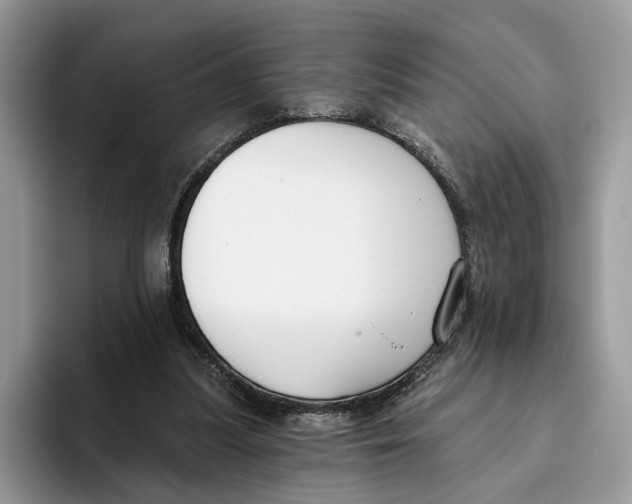 X0000093470251200711091613