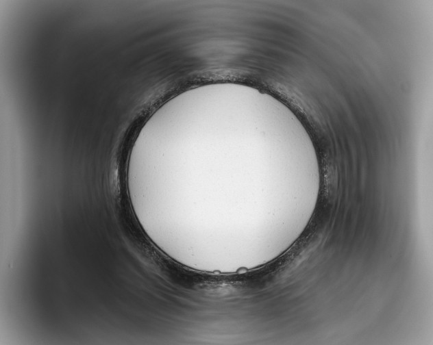 X0000093470254200711091613