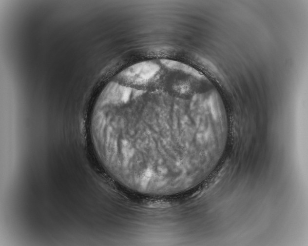 X0000093470258200711091613