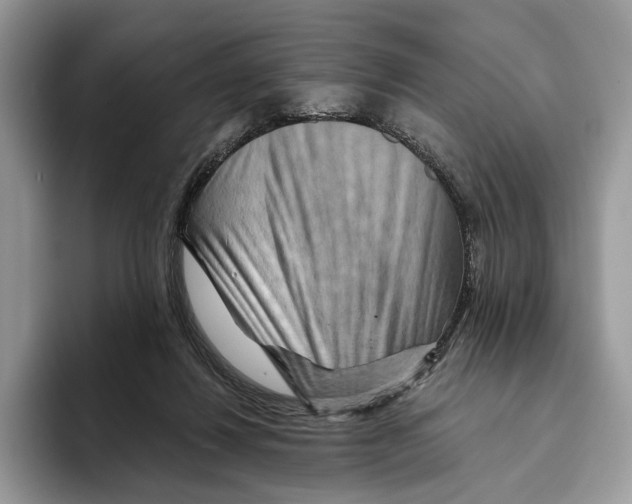 X0000093470260200711091613