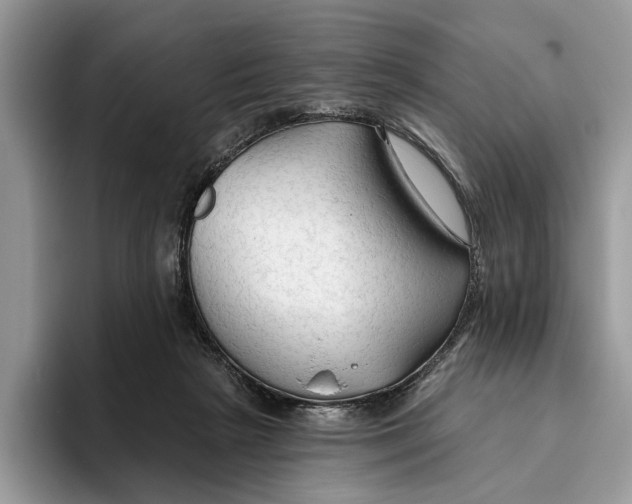 X0000093470265200711091613