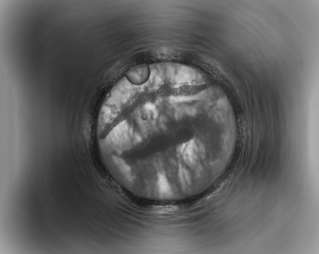 X0000093470266200711091613