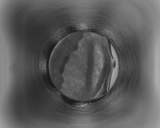 X0000093470267200711091613
