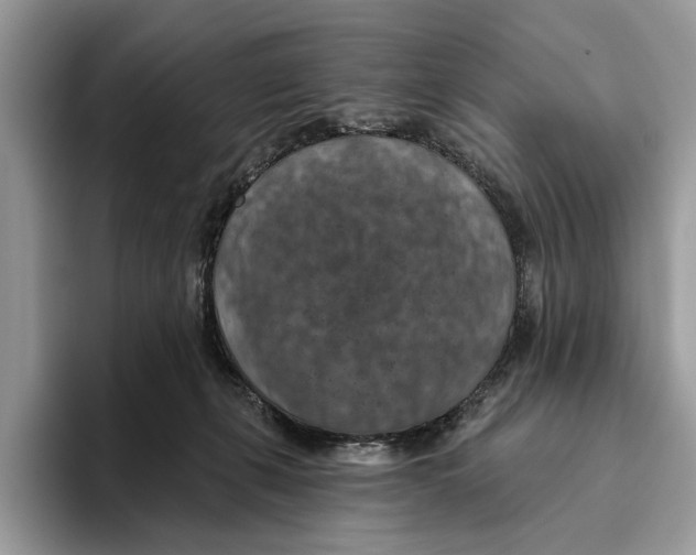 X0000093470271200711091613