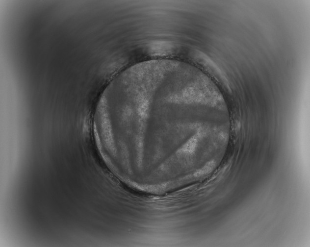 X0000093470277200711091613