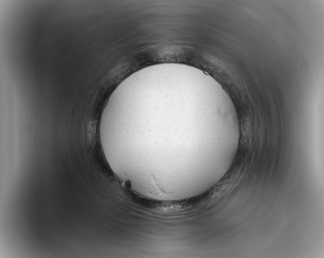 X0000093470278200711091613