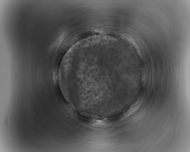 X0000093470285200711091613