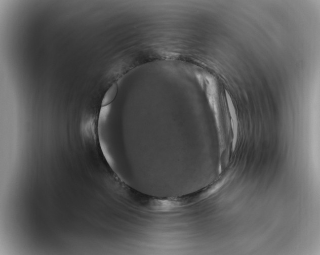 X0000093470286200711091613