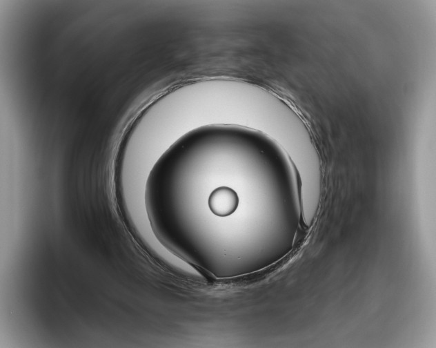 X0000093470293200711091613