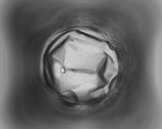 X0000093470294200711091613