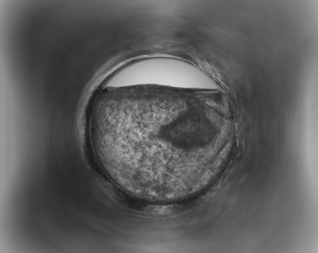 X0000093470295200711091613