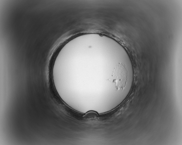 X0000093470296200711091613