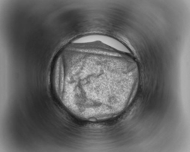 X0000093470299200711091613