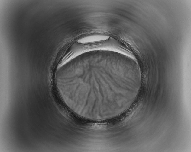 X0000093470303200711091613