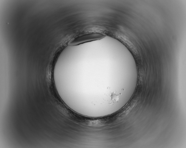 X0000093470309200711091613