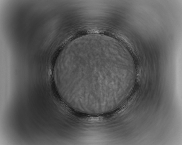X0000093470314200711091613