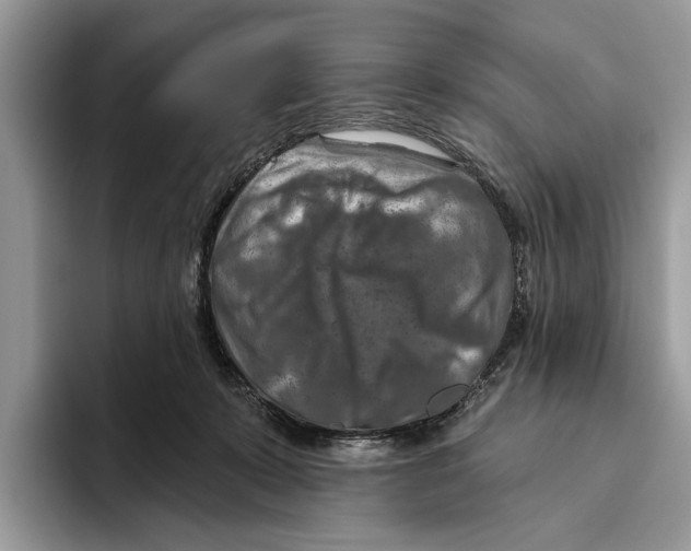 X0000093470319200711091613