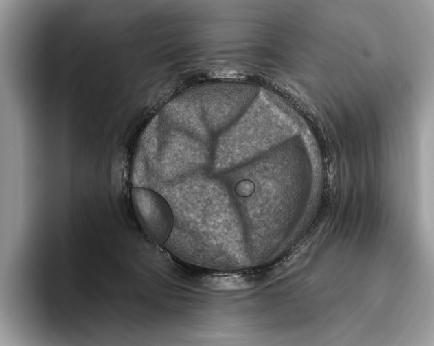 X0000093470322200711091613