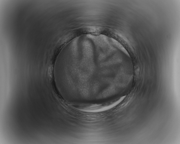 X0000093470325200711091612