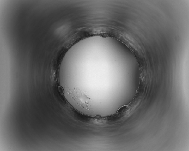 X0000093470327200711091612