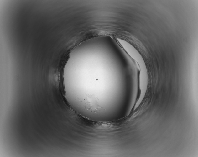 X0000093470329200711091612