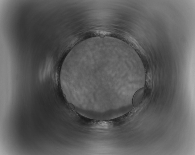 X0000093470330200711091612