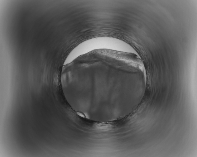 X0000093470331200711091612