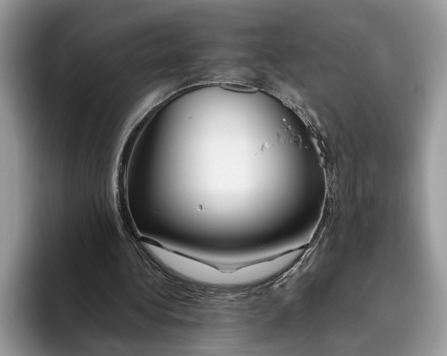 X0000093470340200711091612