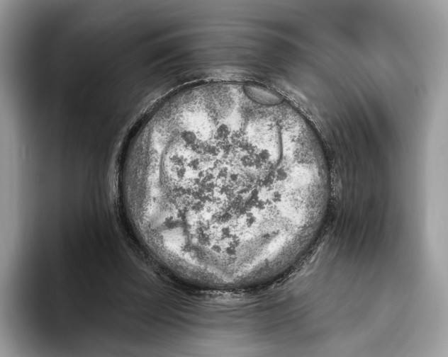 X0000093470347200711091612