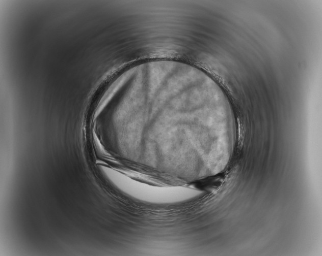 X0000093470348200711091612