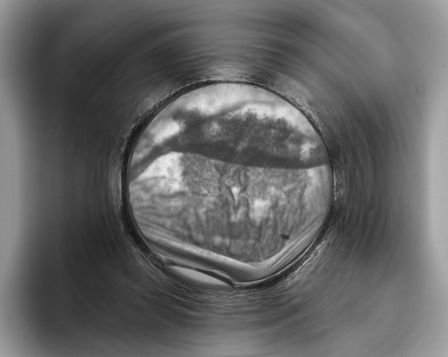 X0000093470349200711091612