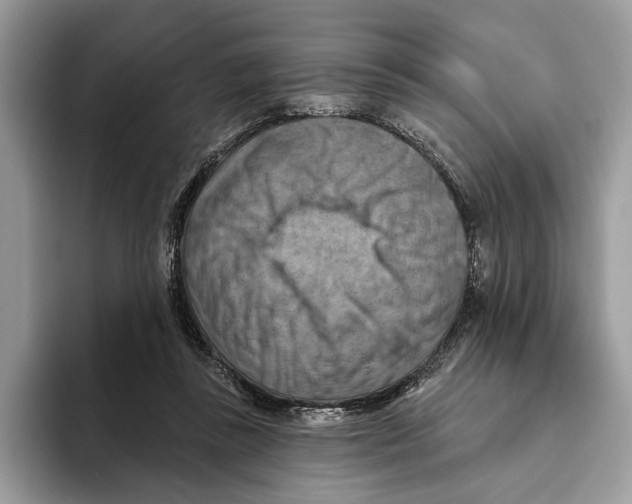 X0000093470355200711091612