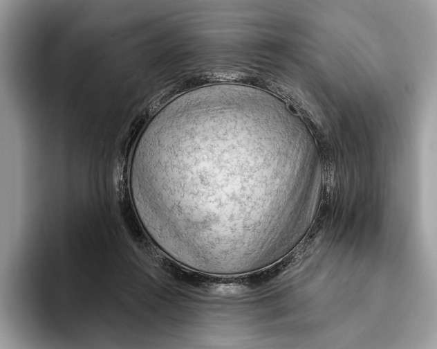 X0000093470360200711091612