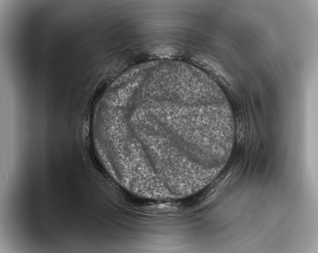 X0000093470365200711091612
