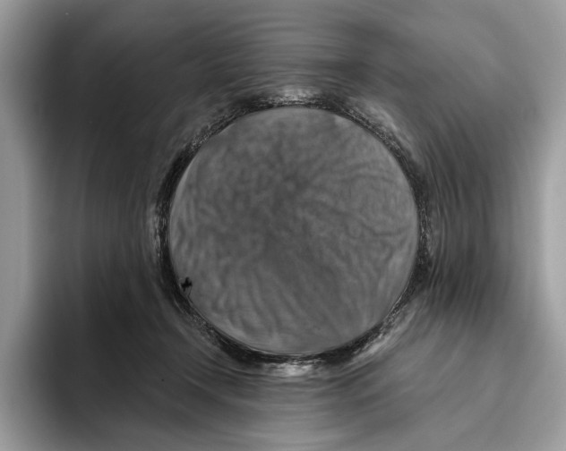 X0000093470366200711091612