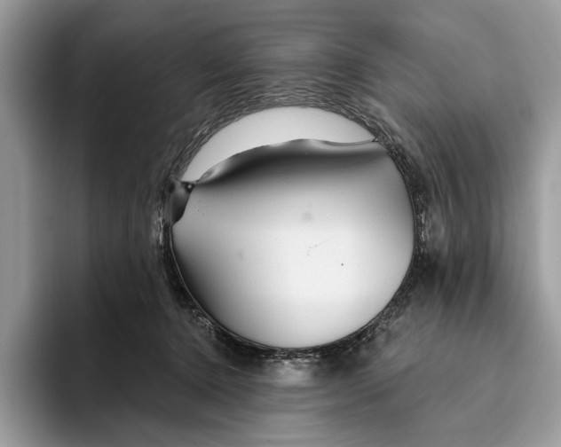 X0000093470368200711091612