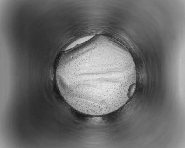 X0000093470374200711091612