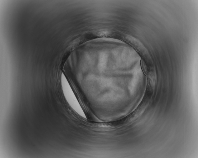 X0000093470380200711091612